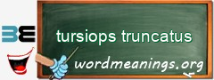 WordMeaning blackboard for tursiops truncatus